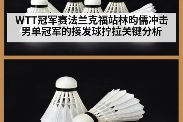 WTT冠军赛法兰克福站林昀儒冲击男单冠军的接发球拧拉关键分析